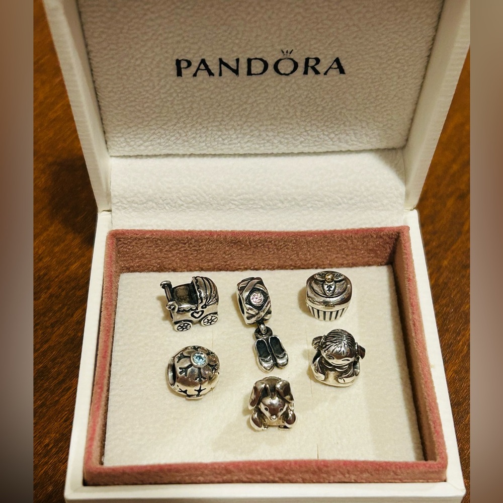 Pandora Charms (set of 6)